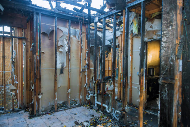 Professional Fire Damage Restoration technician working in Cold Springs, NV